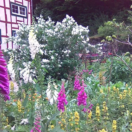 Feriehus Barbarasegen *