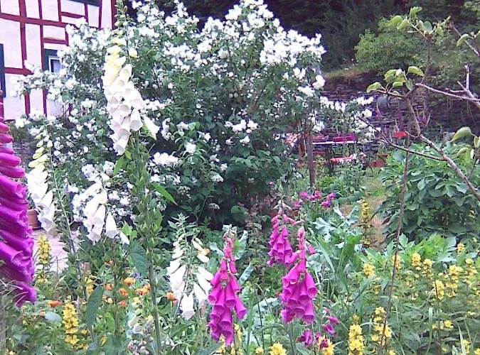 Casa de Férias Barbarasegen *